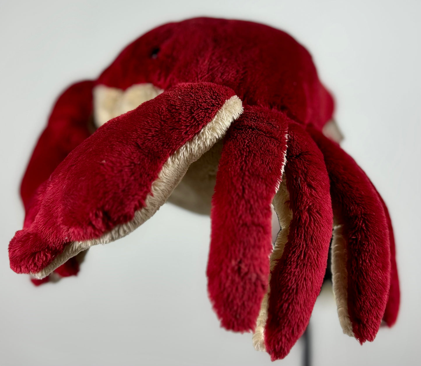 Crab Daphne Hybrid/Woods Head Cover