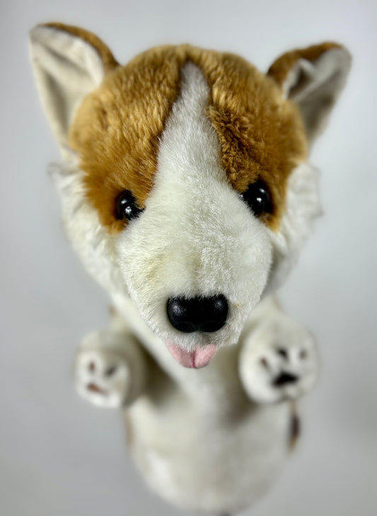 Daphne Corgi Driver Head Cover