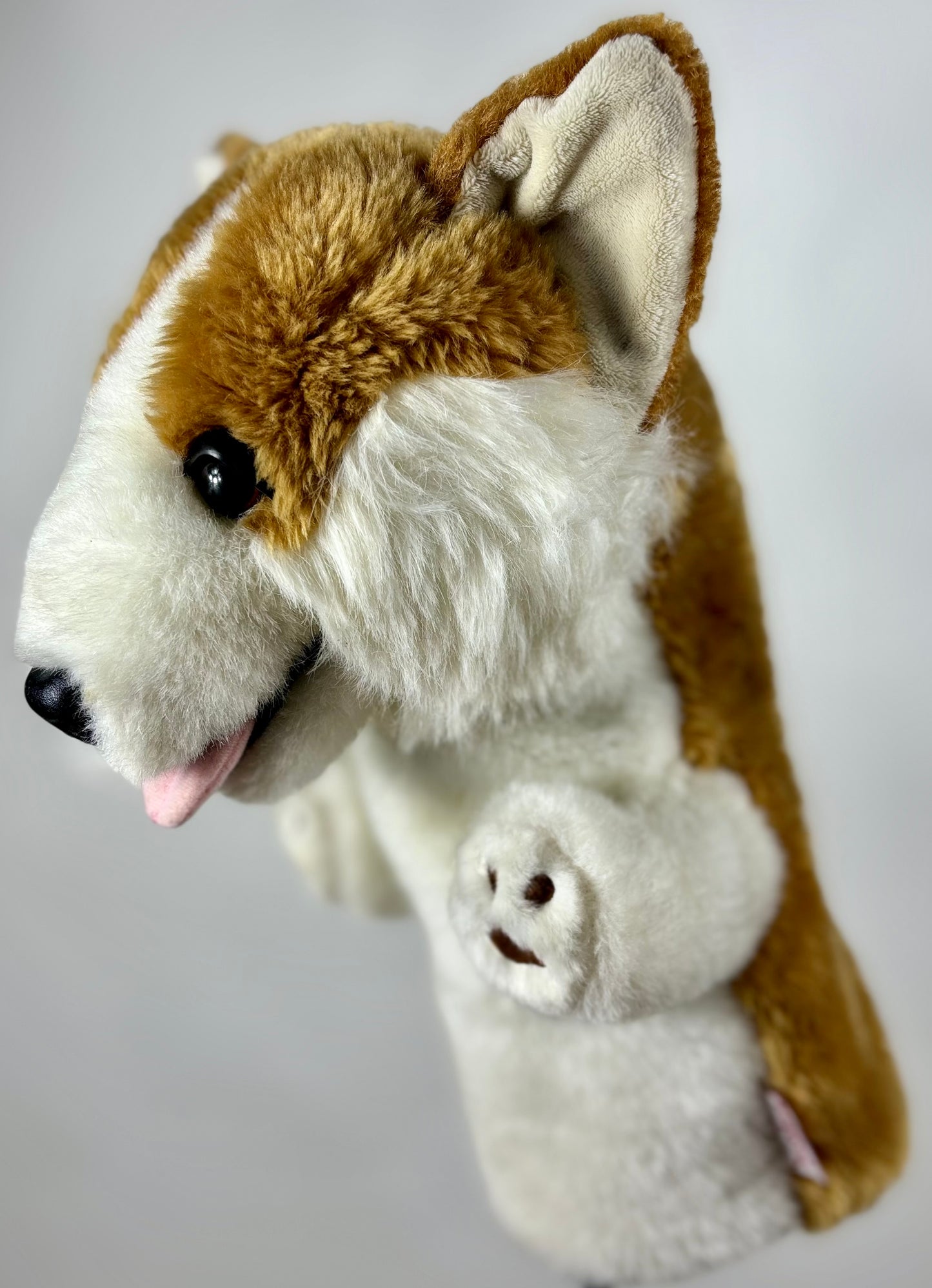Daphne Corgi Driver Head Cover