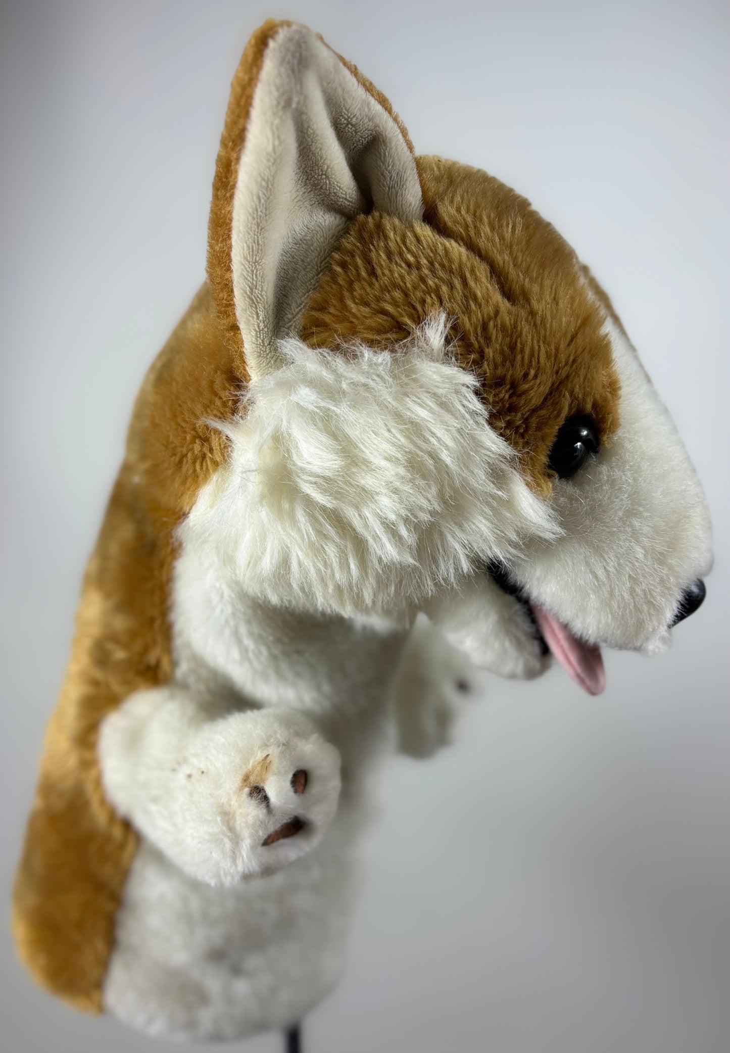 Daphne Corgi Driver Head Cover